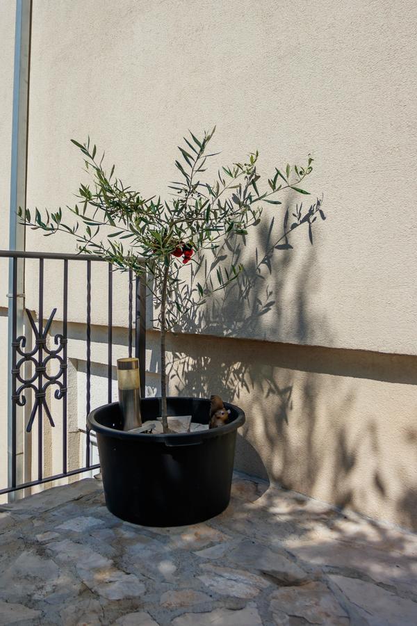 تيفات Apartmani Petar المظهر الخارجي الصورة